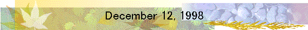 December 12, 1998