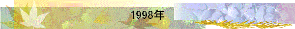1998年