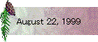 August 22, 1999