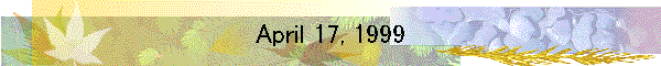 April 17, 1999