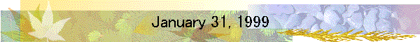January 31, 1999