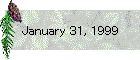 January 31, 1999