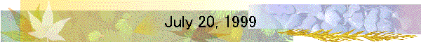 July 20, 1999