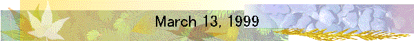 March 13, 1999