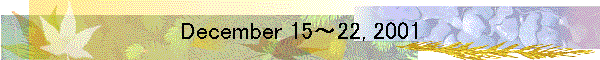 December 15～22, 2001