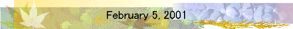 February 5, 2001