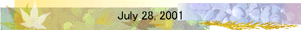 July 28, 2001
