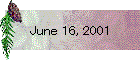 June 16, 2001