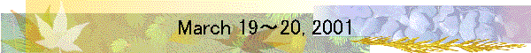 March 19～20, 2001