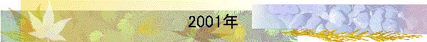 2001年