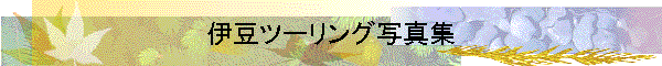 伊豆ツーリング写真集