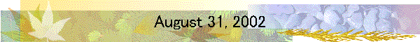August 31, 2002