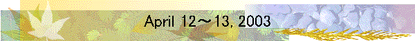 April 12�`13, 2003