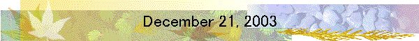 December 21, 2003