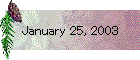 January 25, 2003