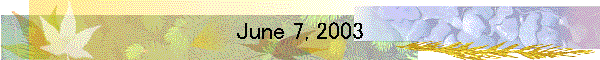 June 7, 2003