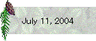 July 11, 2004