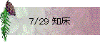 7/29 知床