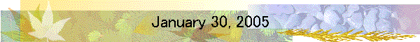 January 30, 2005