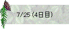 7/25 (4日目)