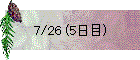 7/26 (5日目)