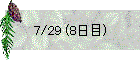 7/29 (8日目)