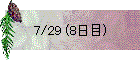 7/29 (8日目)