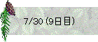 7/30 (9日目)