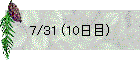 7/31 (10日目)