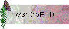 7/31 (10日目)