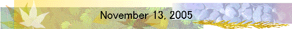 November 13, 2005