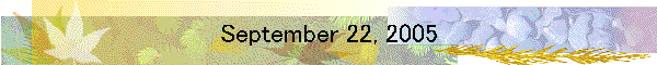 September 22, 2005