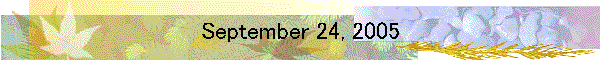 September 24, 2005