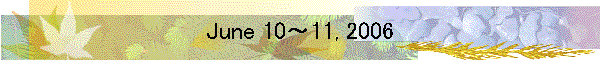 June 10～11, 2006