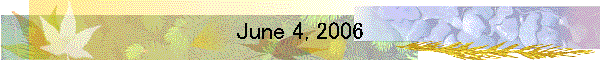 June 4, 2006
