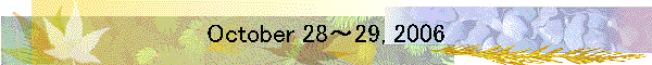 October 28～29, 2006