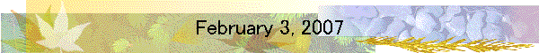 February 3, 2007