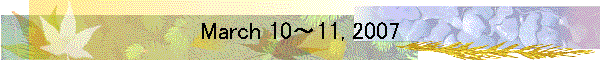 March 10～11, 2007