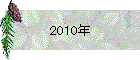 2010年