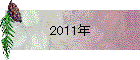 2011年