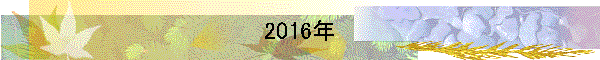 2016年
