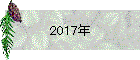 2017年