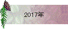 2017年