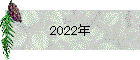 2022年