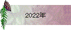 2022年
