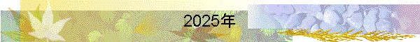 2025年