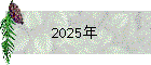 2025年