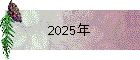 2025年