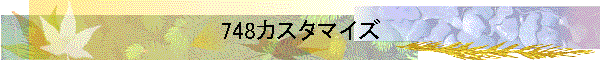 748カスタマイズ