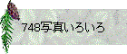 748写真いろいろ